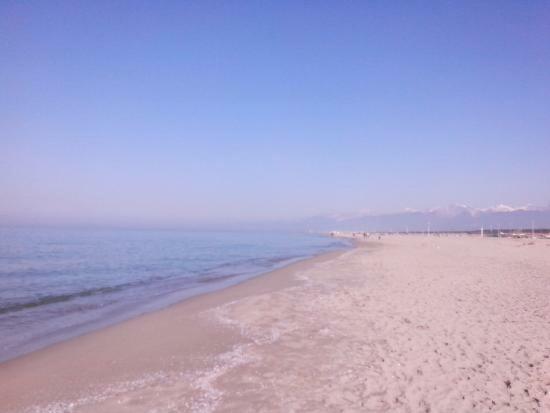 Casavacanza Villa D Funny Viareggio Bagian luar foto